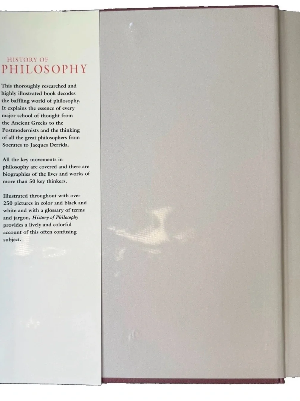 History of Philosophy Martyn Oliver Hardcover Illustrated Ex Library Book